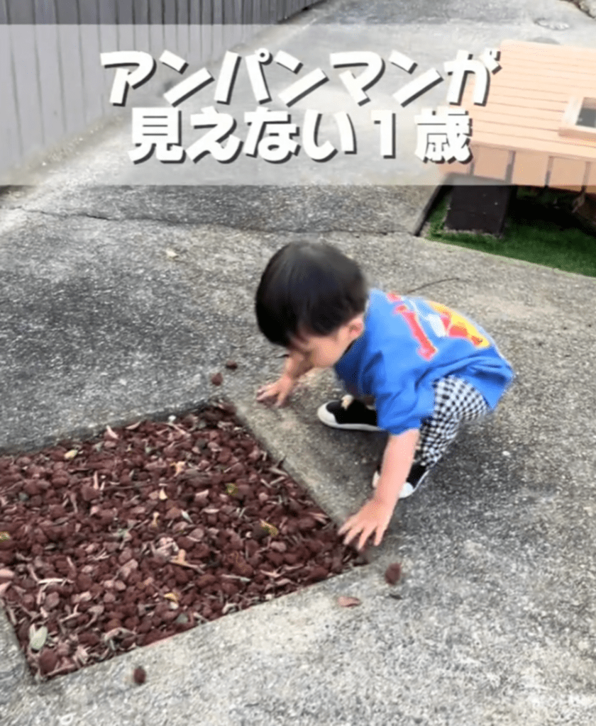 【実際の写真5枚】　ママが見た光景