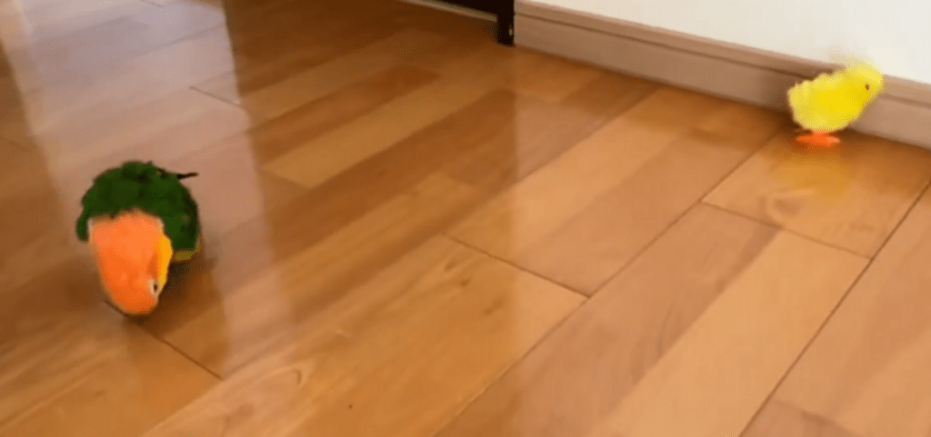 円を描くように…！？（@micchi1919さんより提供）