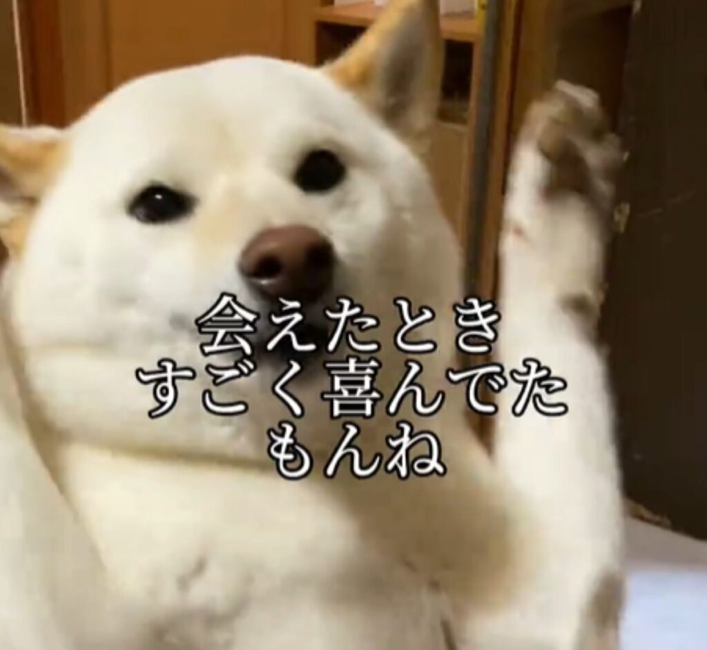 大喜びだったはるちゃん（＠haruharuchankoさんより提供）