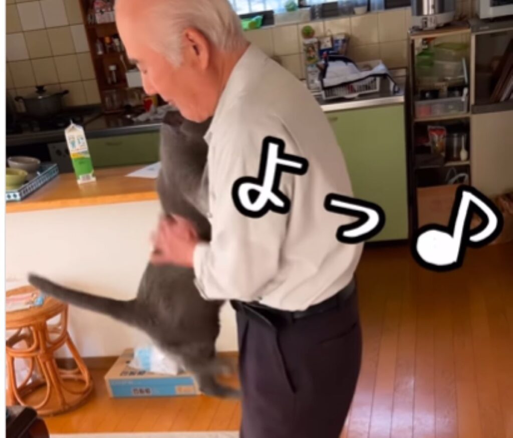 飛びついたグレちゃん（＠ba_chantolatteさんより提供）