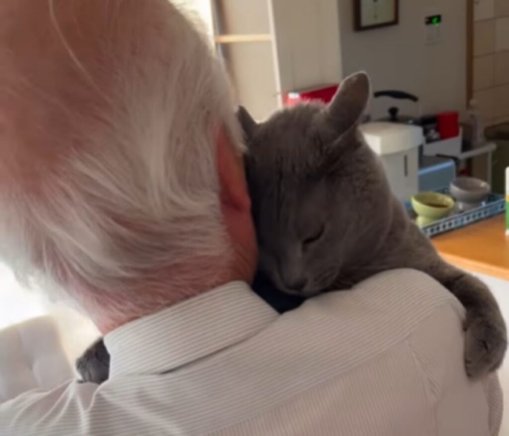 顔をすり寄せるグレちゃん（＠ba_chantolatteさんより提供）