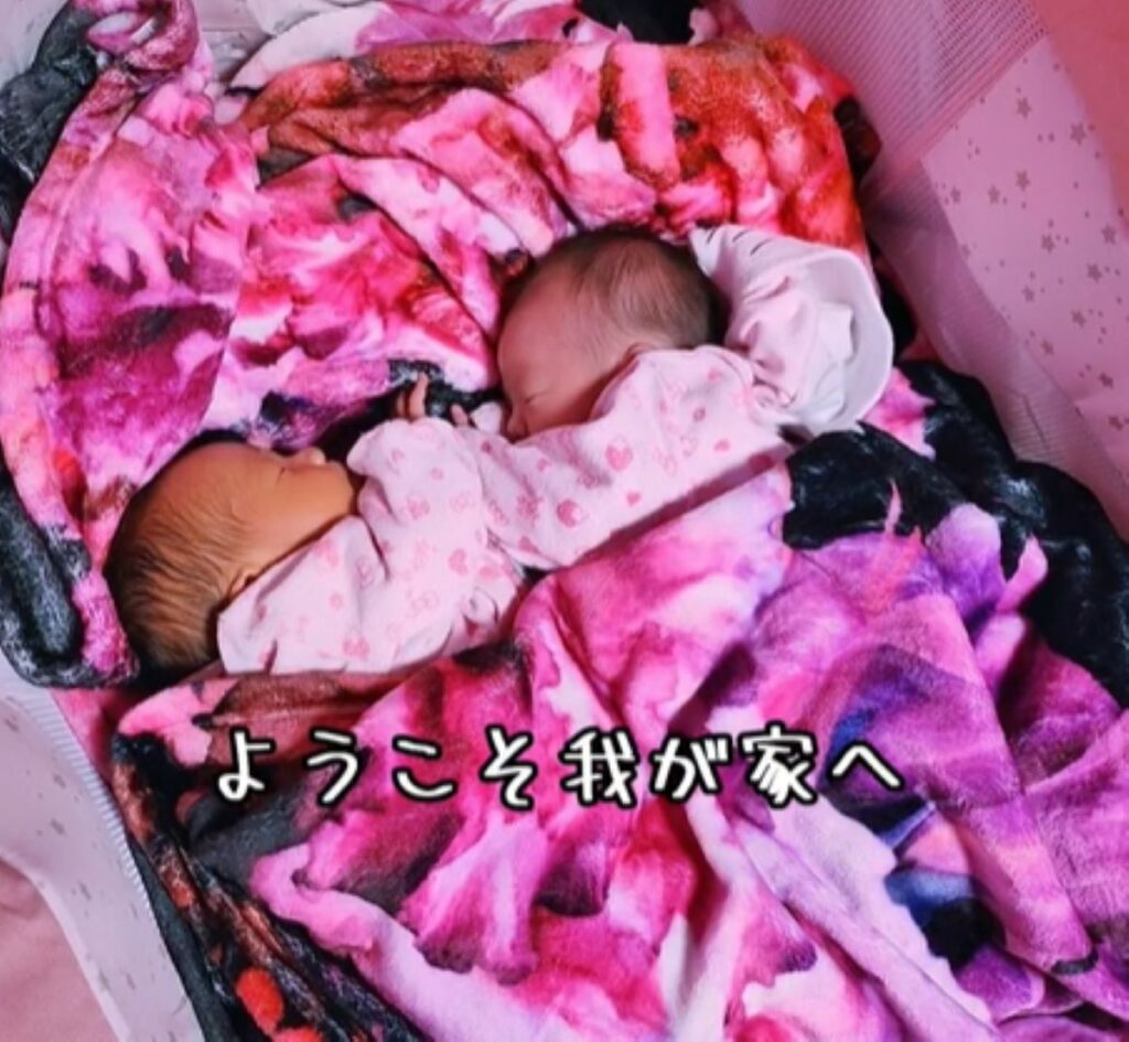 可愛らしい家族が増えました（＠pinkdazlosさんより提供）