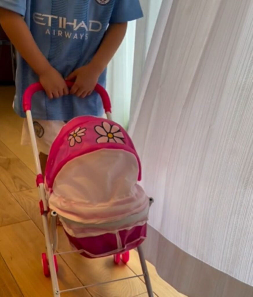 【実際の写真5枚】　ベビーカーの中身