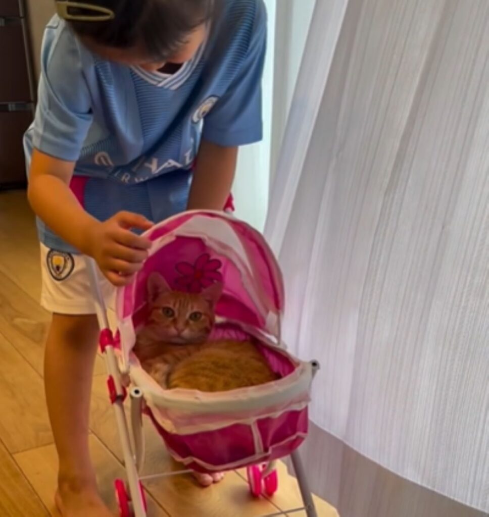 中にいたのは猫ちゃん（＠bugimugi2024さんより提供）