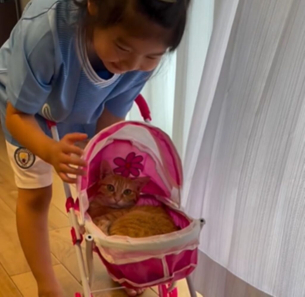 上手に乗っています（＠bugimugi2024さんより提供）