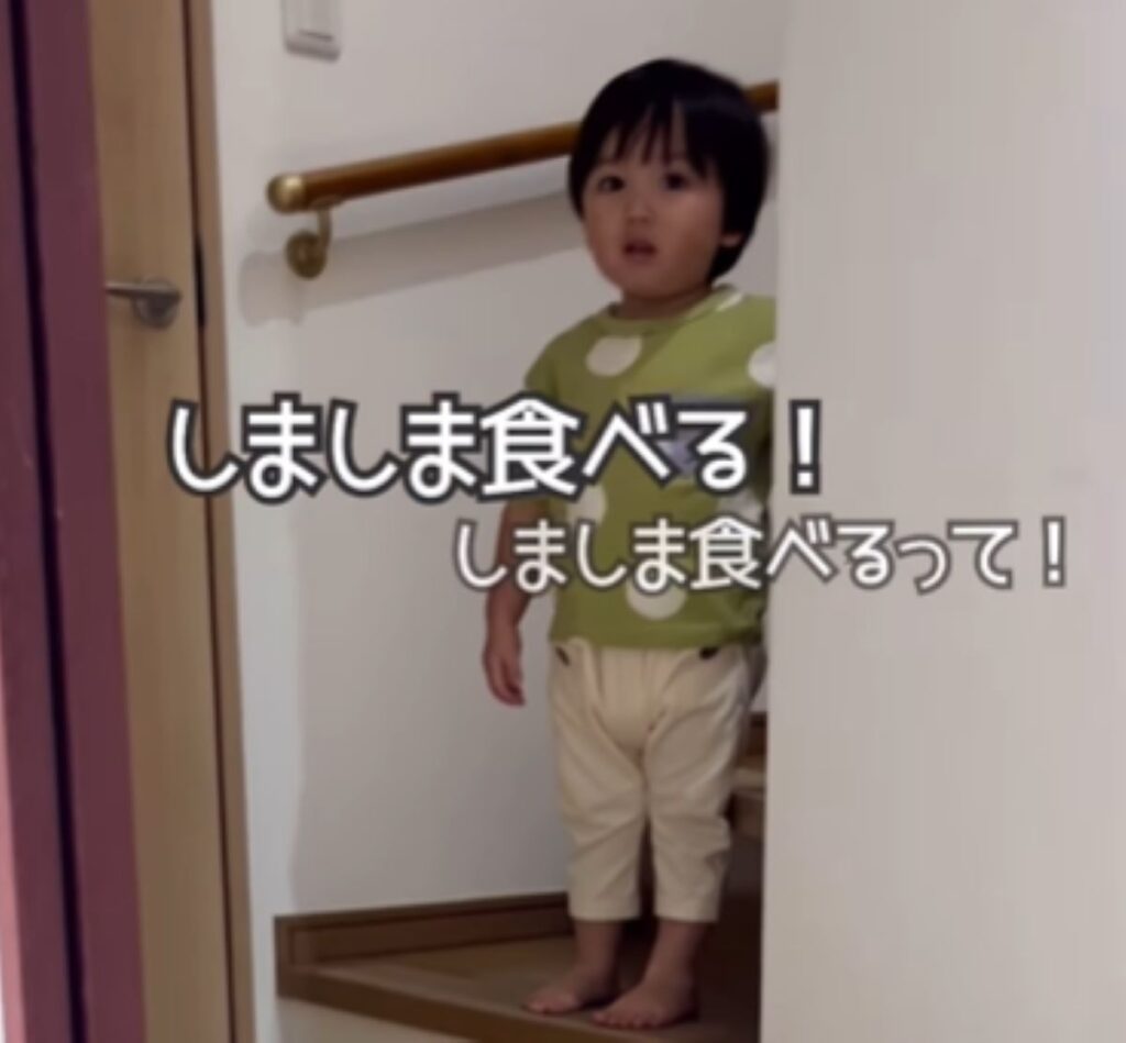 【実際の写真5枚】　しましまの正体