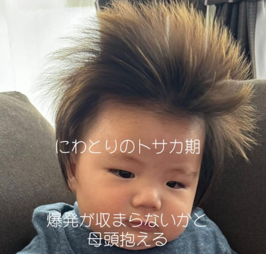 髪が爆発しているような時期（＠namaemeisouchu___さんより提供）