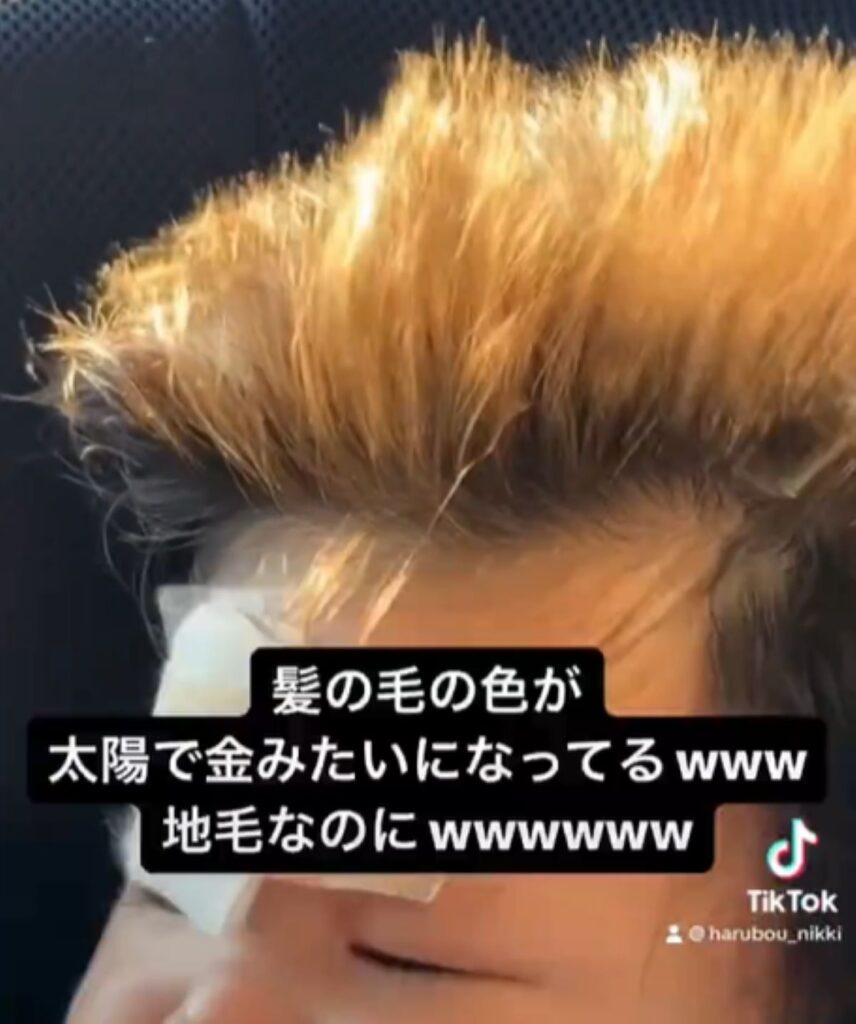 金髪のように…（＠namaemeisouchu___さんより提供）