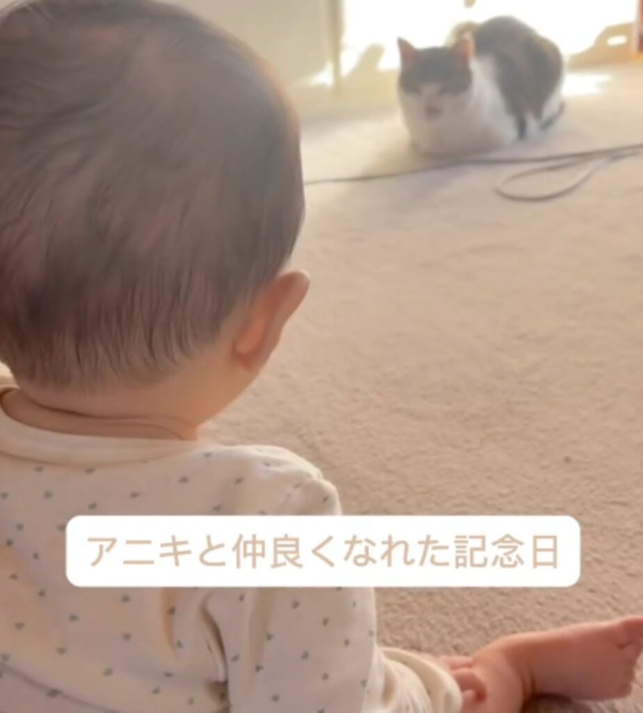 【実際の写真5枚】　ママが見た光景