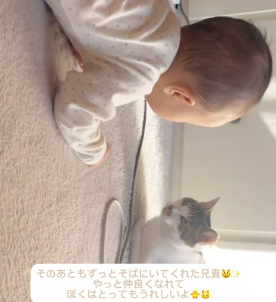 そばにいる猫ちゃん（＠shi0515_nさんより提供）