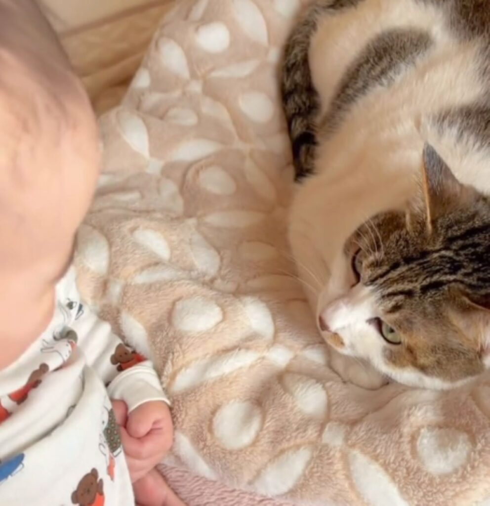 距離が縮まった猫ちゃんと息子さん（＠shi0515_nさんより提供）