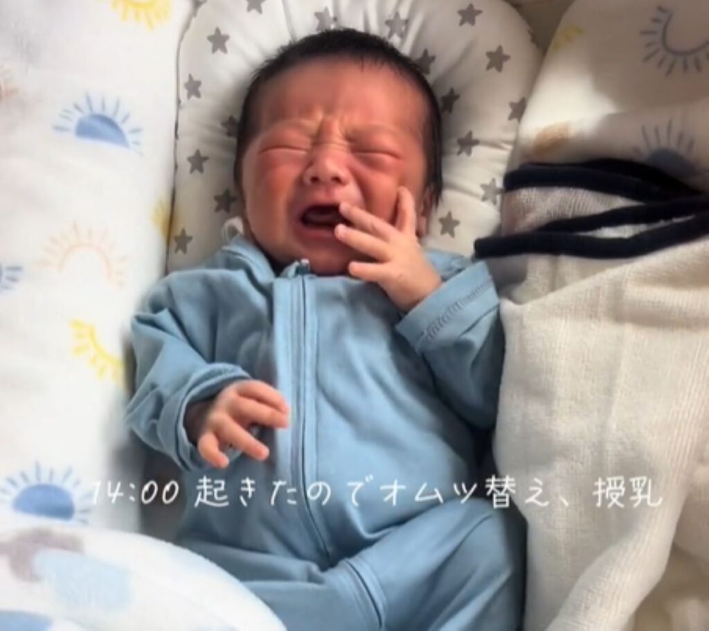 オムツ替え（@apiphu1022さんより提供）