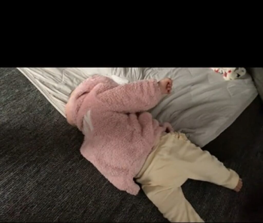 眠っているのかな…？（@maryu.12270404さんより提供）