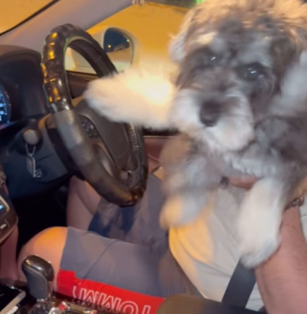 【実際の写真7枚】　ママと再会した時の様子