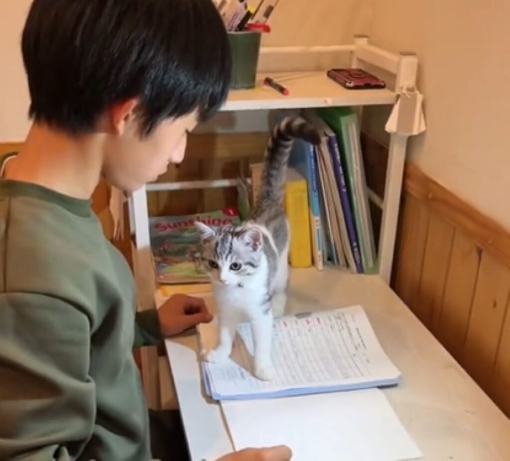 【実際の写真5枚】　ママが見た光景