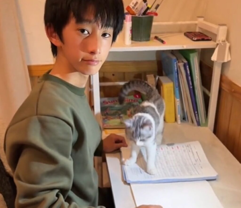 机に乗るしまちゃん（＠shimashimafamさんより提供）