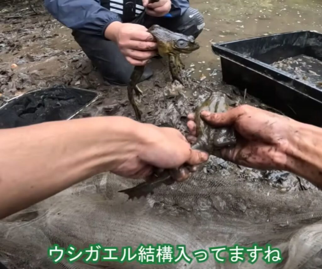 【実際の写真5枚】　1年後の様子