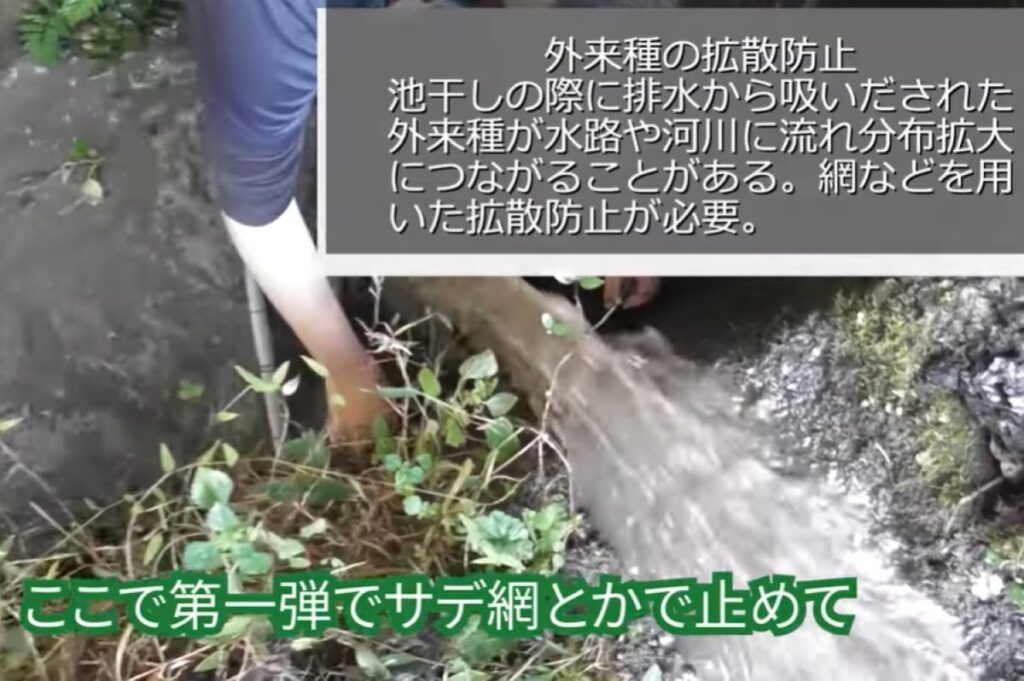 外来種の拡散防止（@ariake538さんより提供）