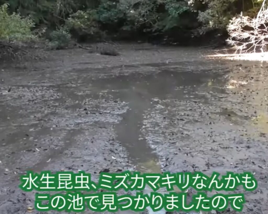 水を抜いた後（@ariake538さんより提供）