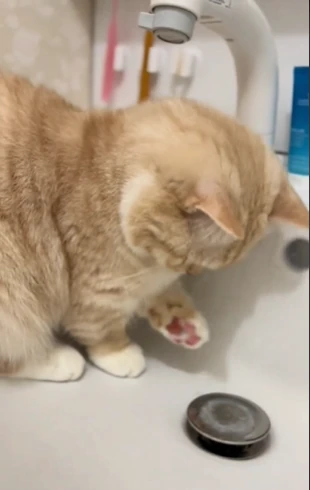 排水口付近の水が気になる（@nui0904さんより提供）