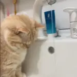 水が流れ出してさらに気になる（@nui0904さんより提供）