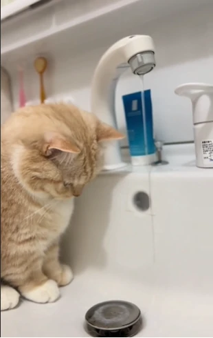 水が流れ出してさらに気になる（@nui0904さんより提供）