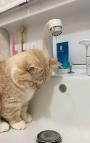 耳にかかる水は気にならない（@nui0904さんより提供）