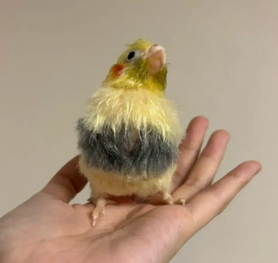 胴体の植毛（@monzo_chicoco_cupipoさんより提供）