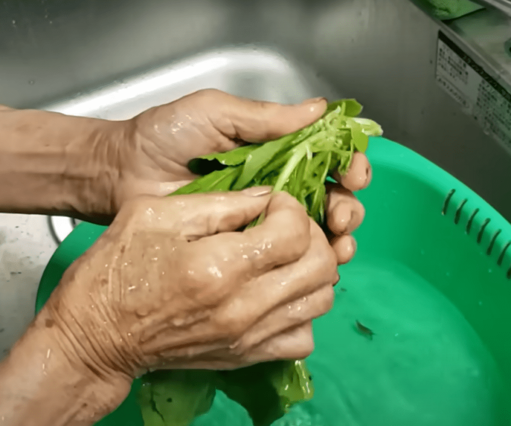 野菜を洗います（@kinoe_playlandさんより提供）