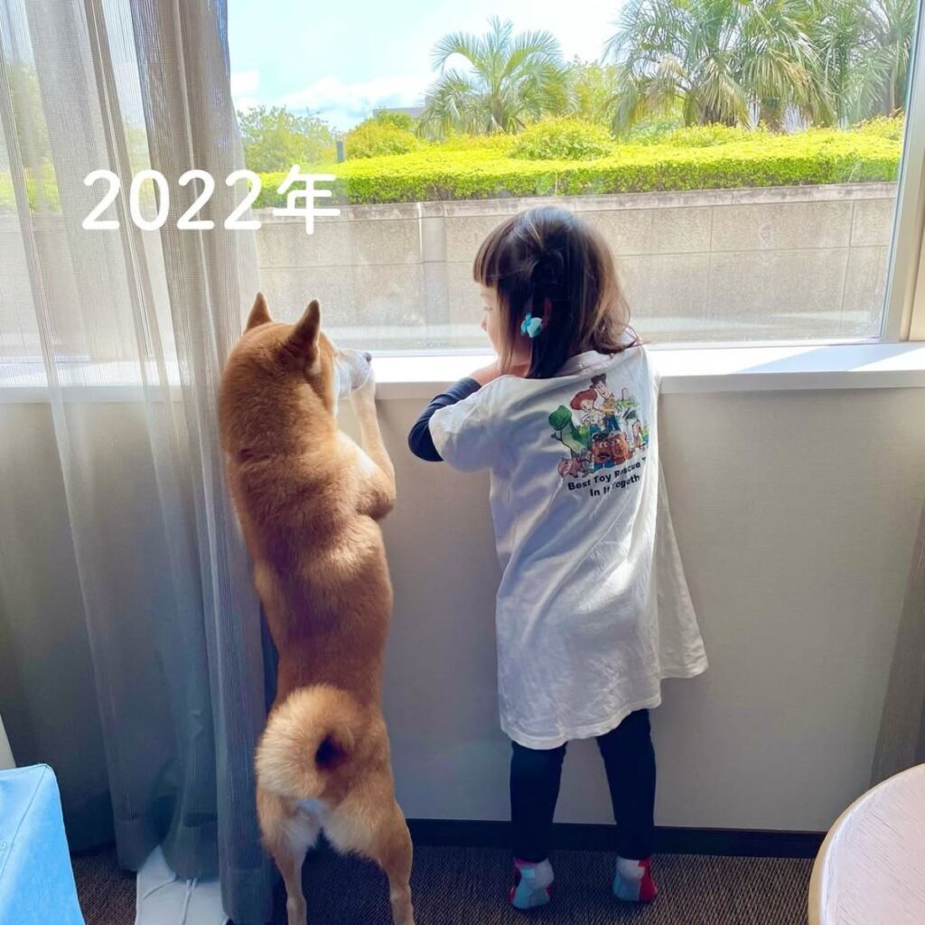 2022年の様子（＠kotachan226さんより提供）