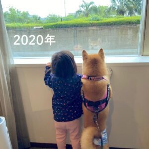 2020年、仲良しな2歳娘とわんこ　4年後の2人の姿に「泣ける」「微笑ましい」