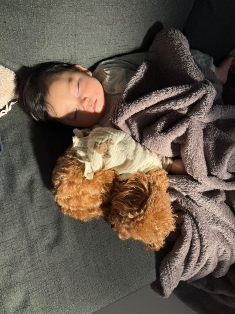 夢の中へ（＠nikuman___karaageさんより提供）