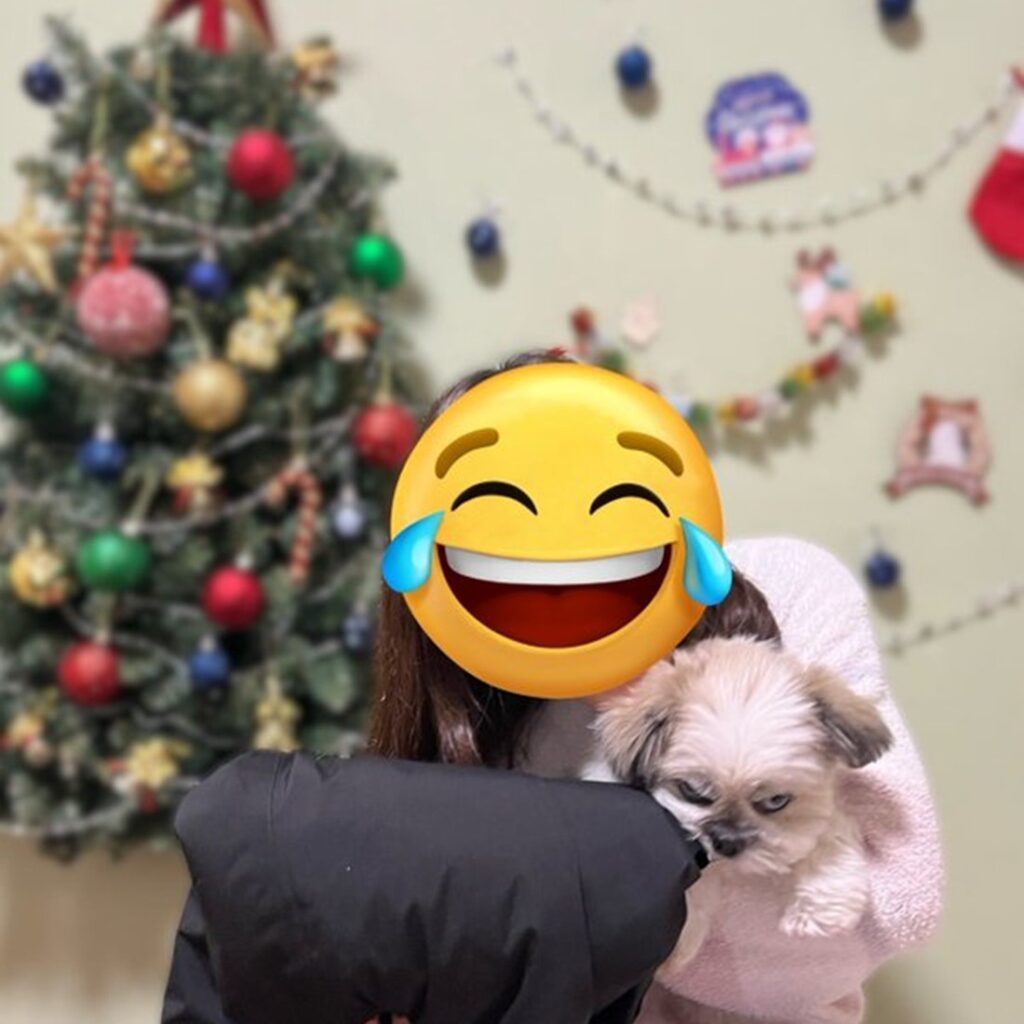 【実際の写真6枚】　ワンコの表情