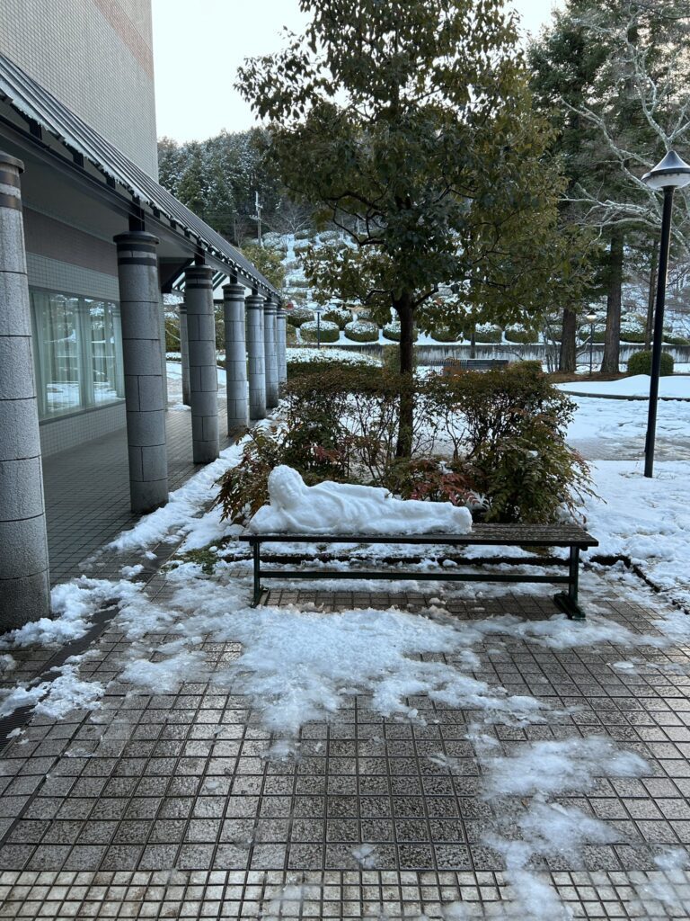 【実際の写真6枚】　作品の様子