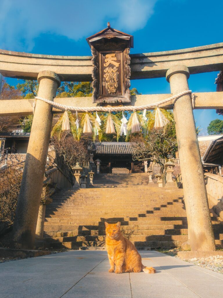 新春の神社（＠Ryoppi05670209さんより提供）