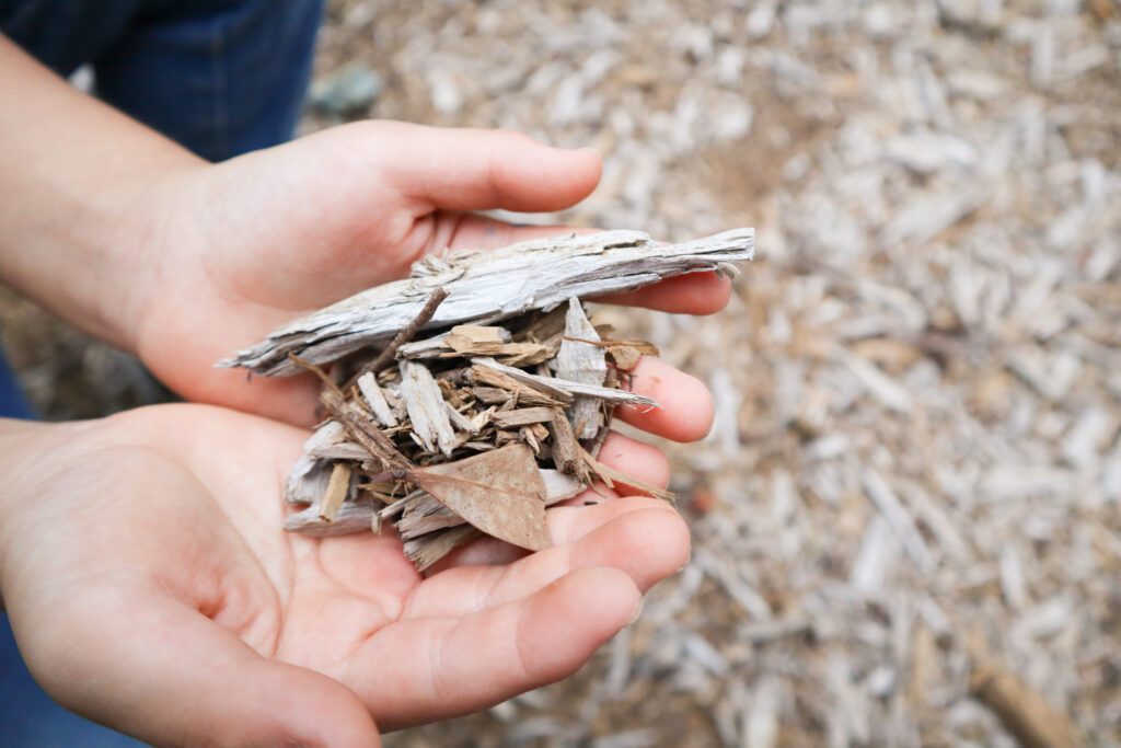 流木を再利用したウッドチップ（筆者撮影）