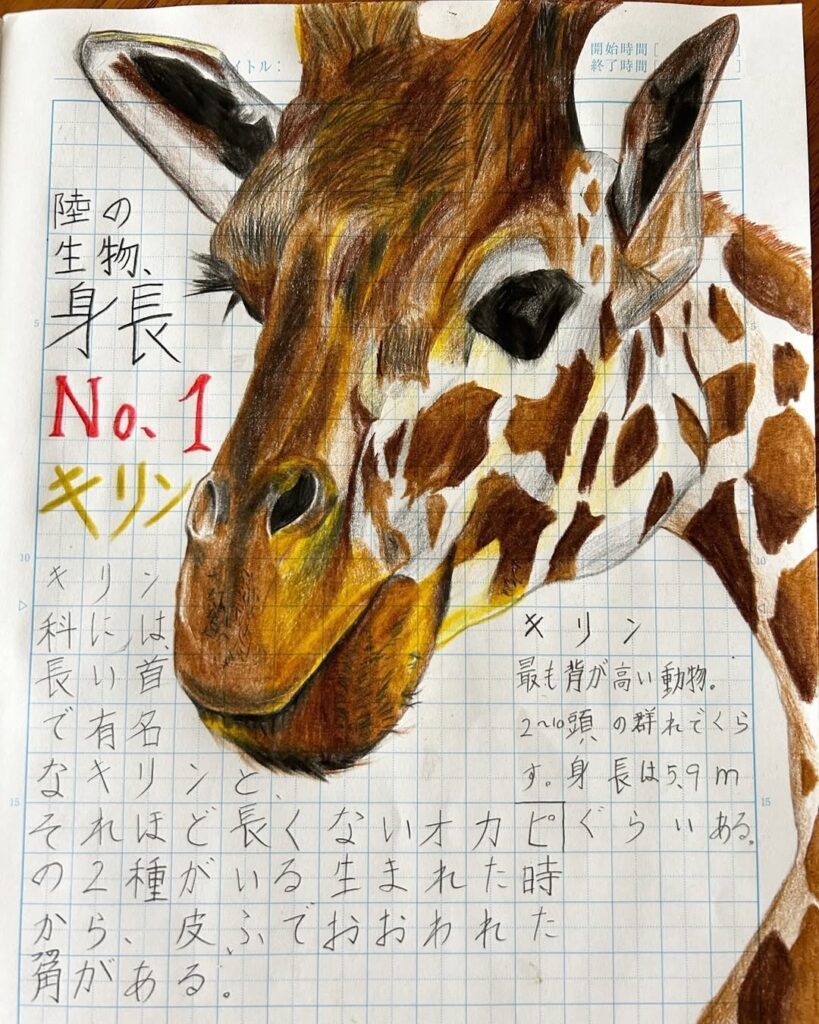 自主学習ノートに描いたもの（＠manami_takamiさんより提供）