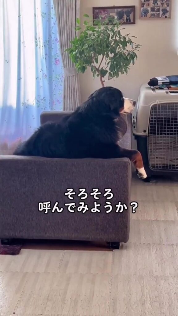 呼んでみることに（＠lindt2222さんより提供）