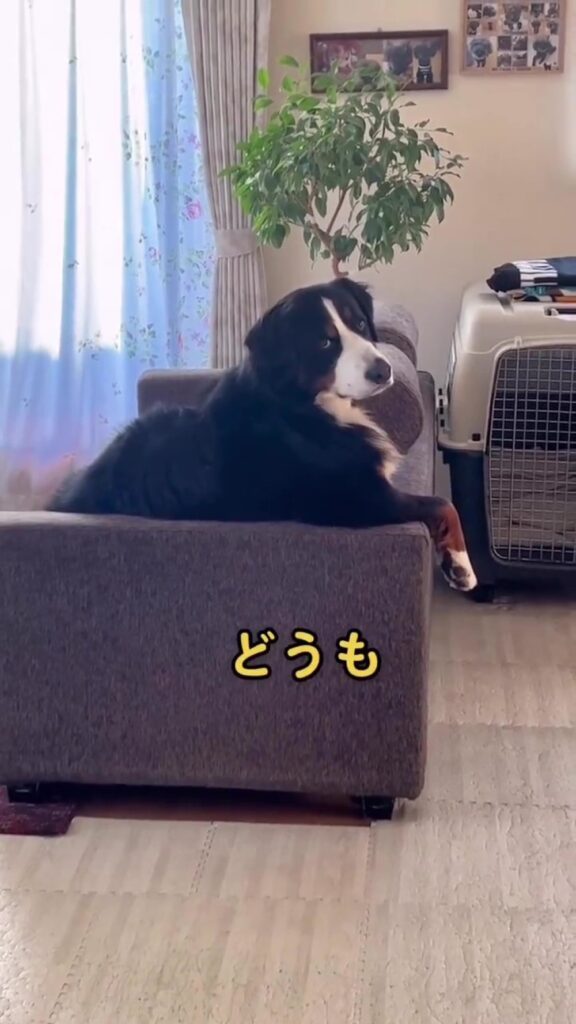 こちらを向いて…（＠lindt2222さんより提供）