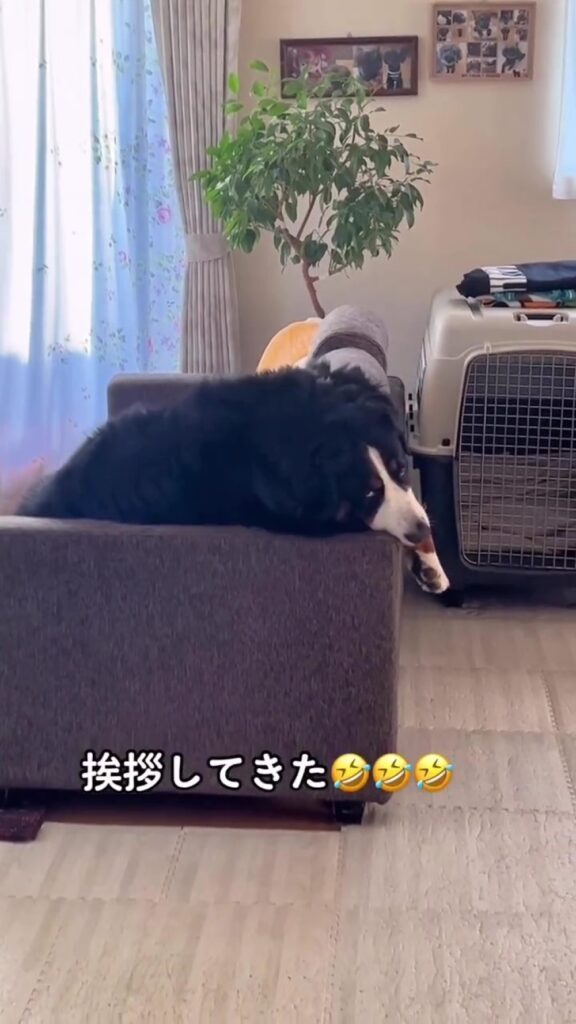 挨拶をしてきた（＠lindt2222さんより提供）