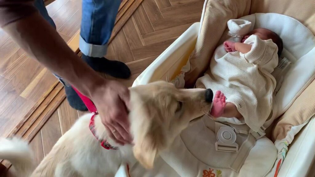 【実際の写真5枚】　１年後の様子