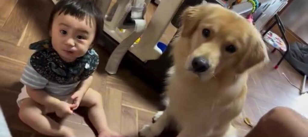 カメラを見つめる2人（＠muu_goldenさんより提供）