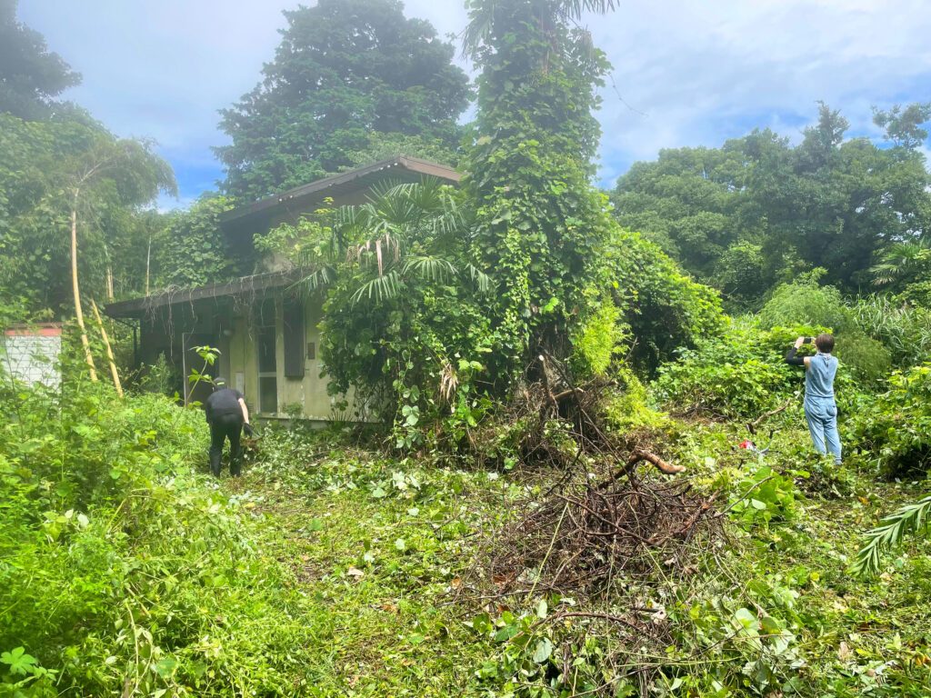 【実際の写真】　キャンプ場の開拓前後の様子