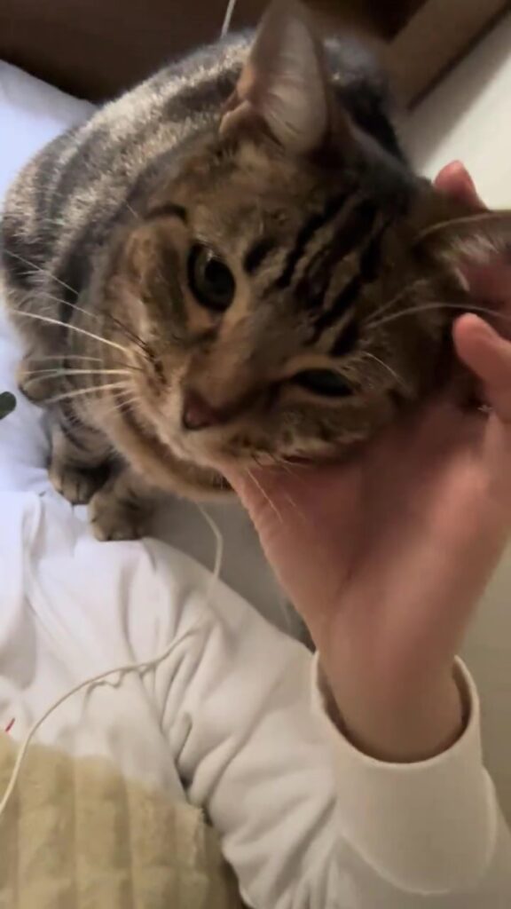 4月からお兄ちゃんに（＠00__asさんより提供）