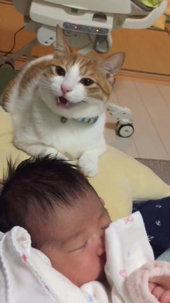 【実際の写真5枚】　５年後の様子