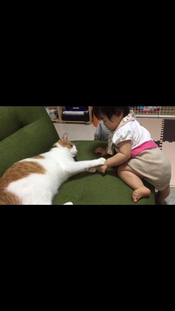 優しく触ります（＠hassaku0804さんより提供）