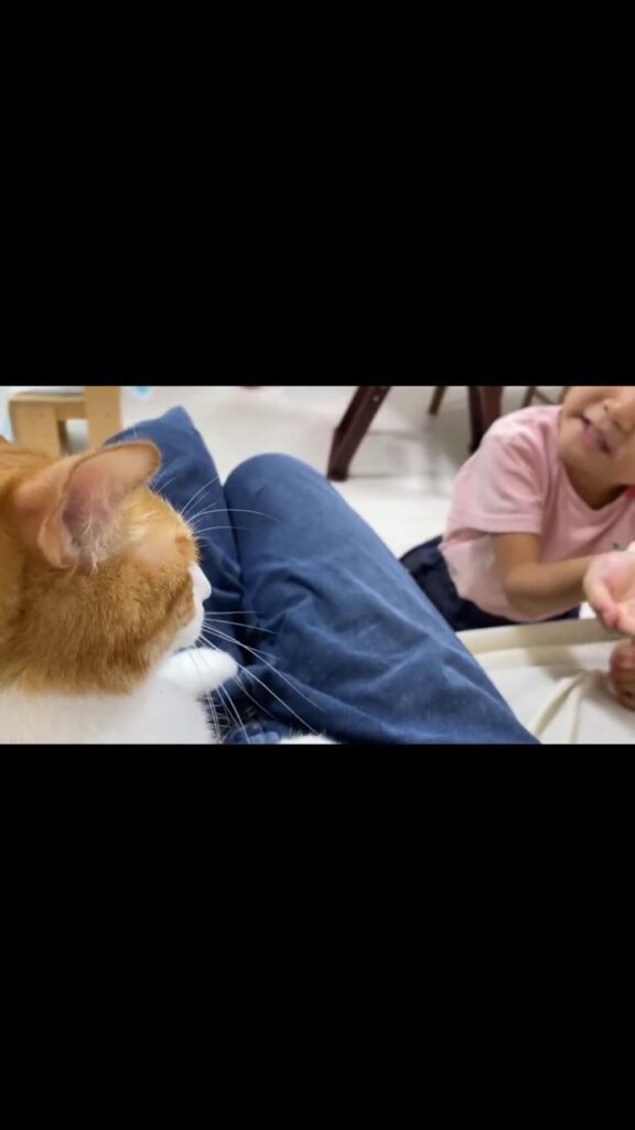 いつも仲良し（＠hassaku0804さんより提供）