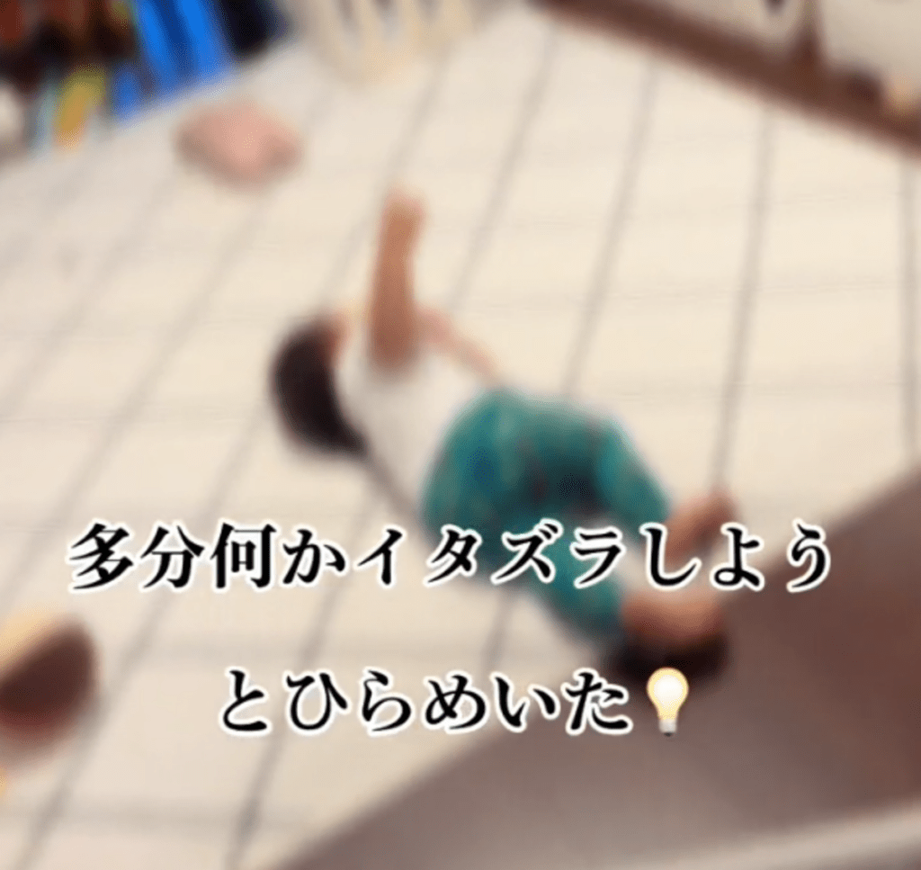 【実際の写真5枚】　ママが見た光景