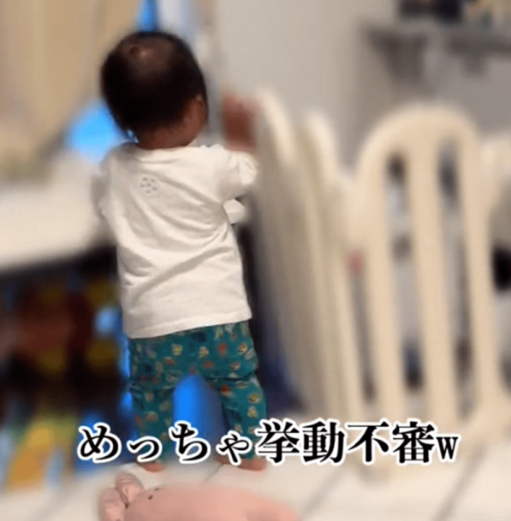 挙動不審に（@punimarumamaさんより提供）