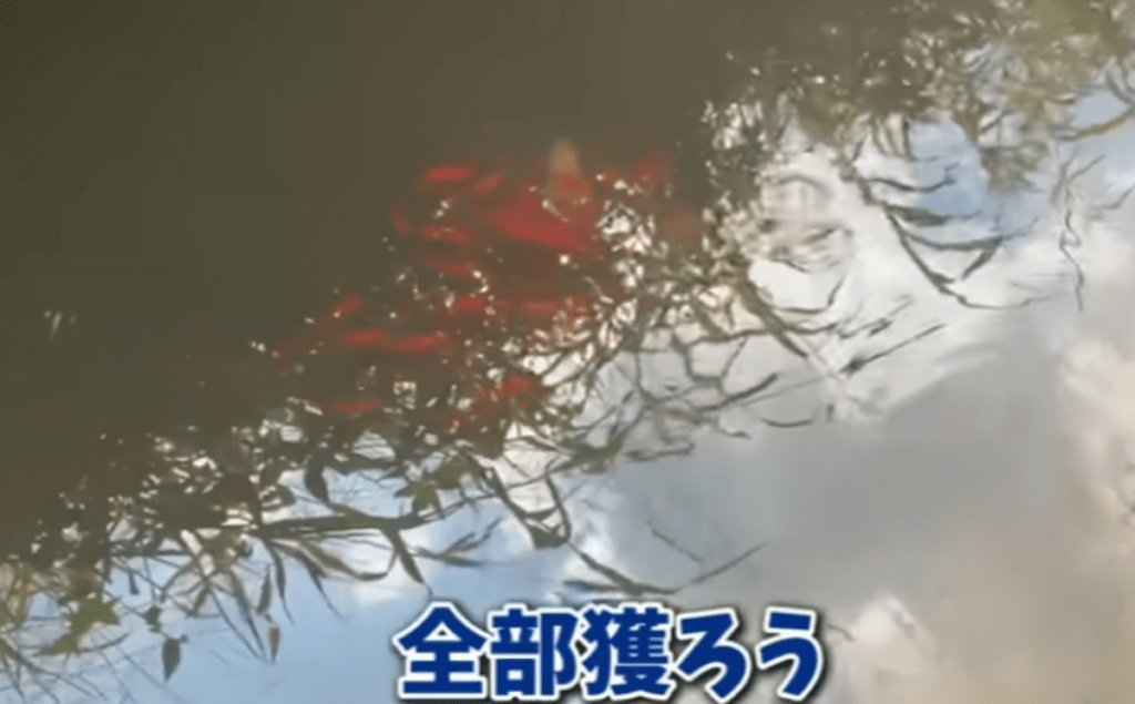 現地に行くと…（@emaschannel6853さんより提供）